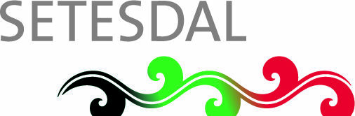 Logo Visit Setesdal, logo,grafik