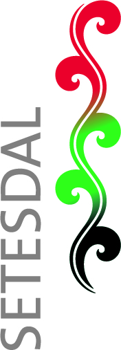 Logo Visit Setesdal, logo,grafik