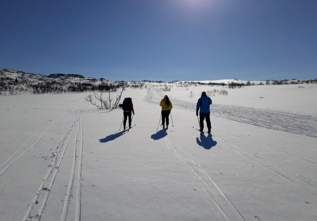 Bilde av tre personer bakfra som går på ski i løype