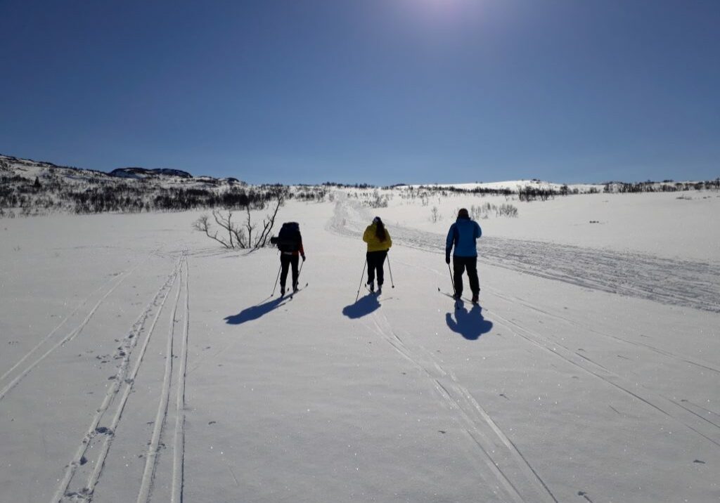 Resized_20170414_100756 Bilde av tre personer bakfra som går på ski i løype