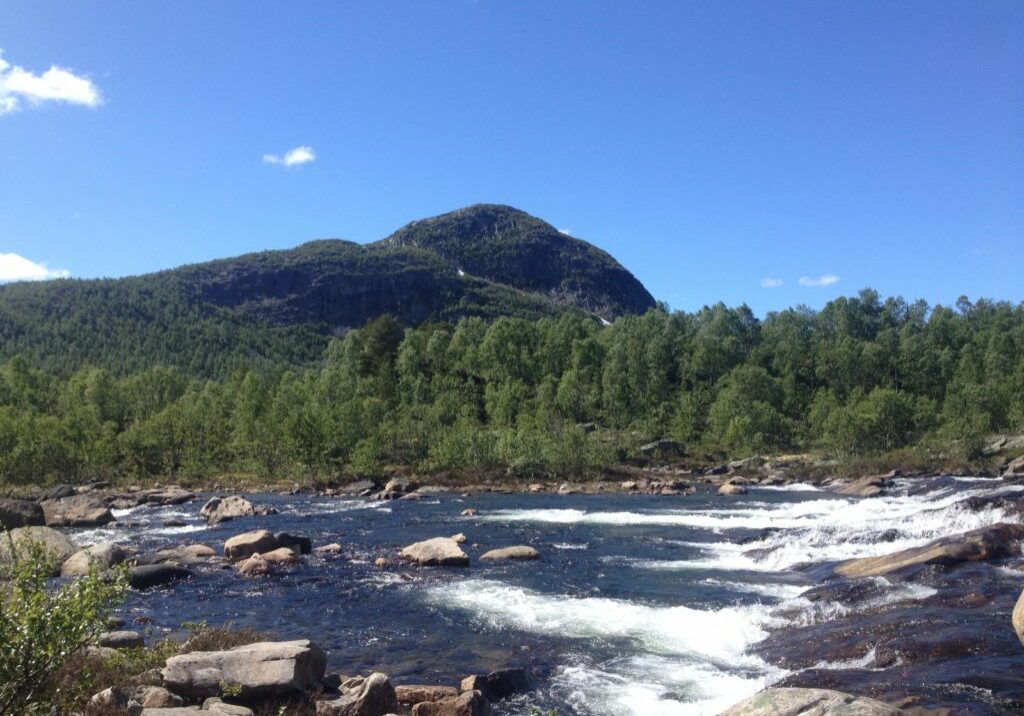 juni 14 nr 3 Bilde av en elv med fjell og skog i bakgrunnen. En sommerdag.